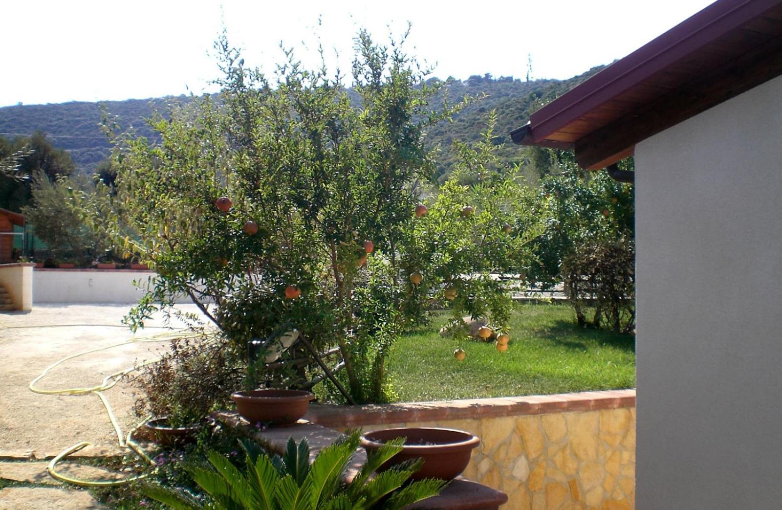 Bed And Breakfast La Casetta Monopoli Kültér fotó