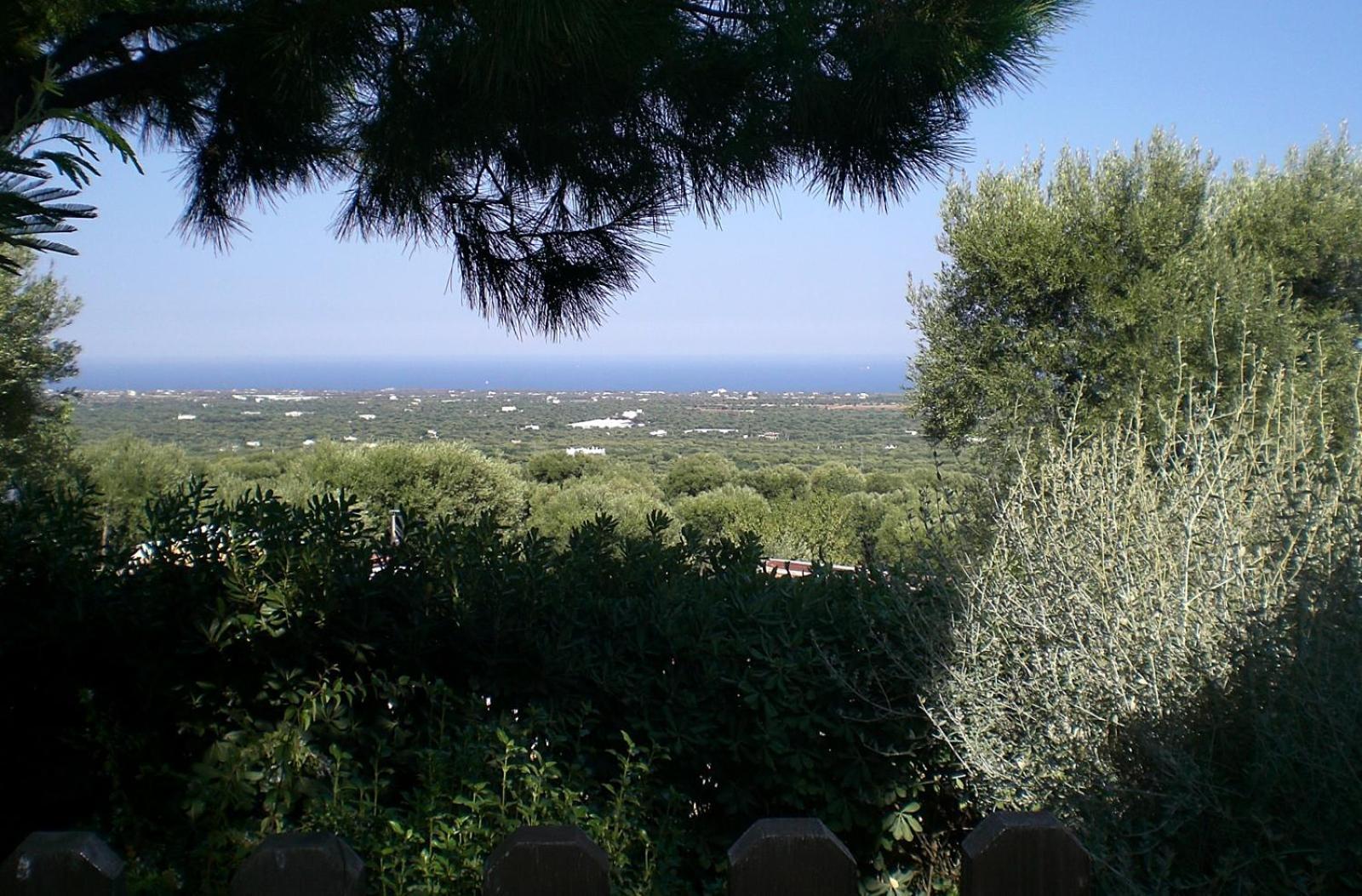 Bed And Breakfast La Casetta Monopoli Kültér fotó