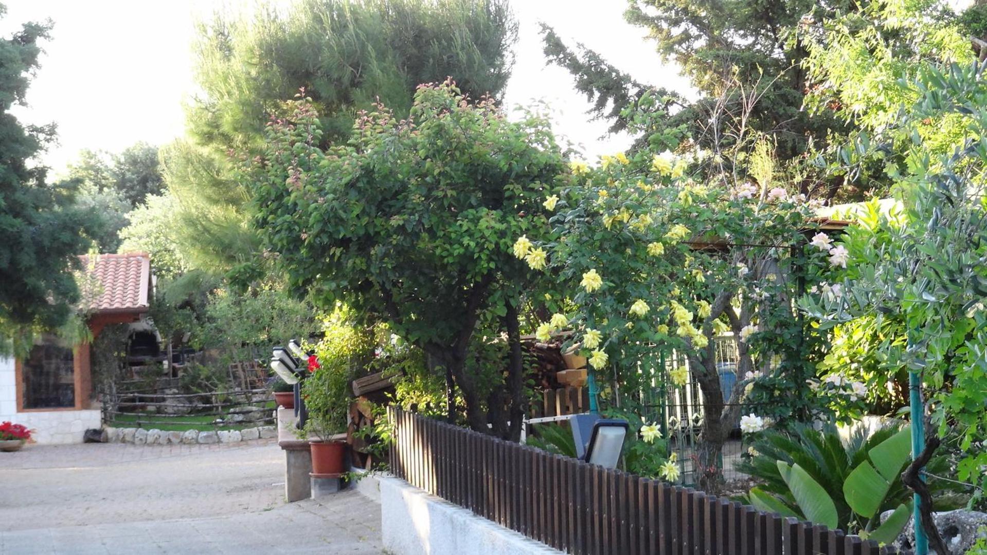 Bed And Breakfast La Casetta Monopoli Kültér fotó