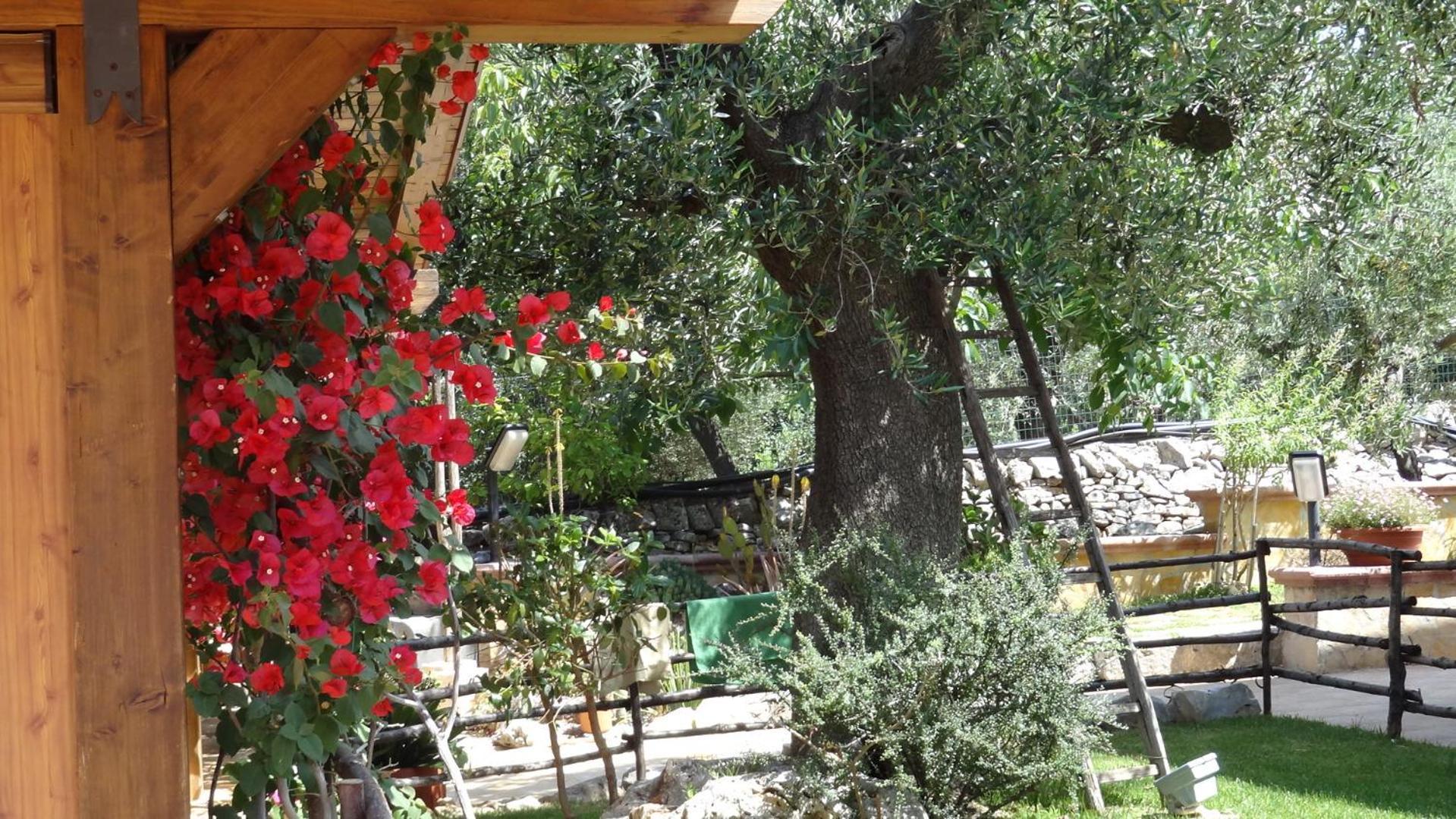 Bed And Breakfast La Casetta Monopoli Kültér fotó